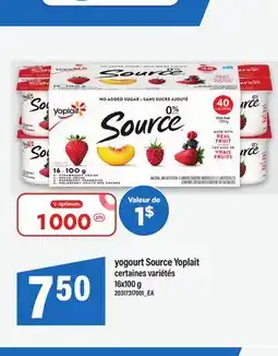 Maxi YOGOURT SOURCE YOPLAIT, 16x100 g offer