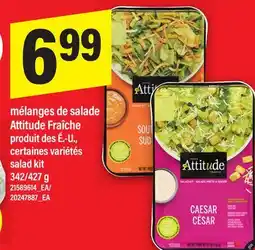 Maxi MÉLANGES DE SALADE ATTITUDE FRAÎCHE | SALAD KIT offer