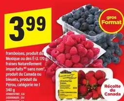 Maxi FRAMBOISES,170 G, FRAISES NATURELLEMENT IMPARFAITS SANS NOM , BLEUETS, 340 G offer