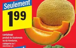 Maxi CANTALOUP offer
