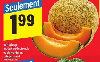 Maxi CANTALOUP offer