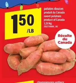 Maxi PATATES DOUCES | SWEET POTATOES offer