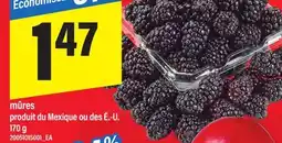 Maxi MÛRES, 170 G offer