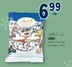 Familiprix LINDT, Chocolate, 100g offer