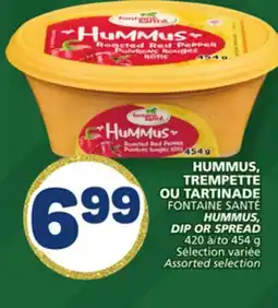 Marché Bonichoix FONTAINE SANTÉ HUMMUS, DIP OR SPREAD offer