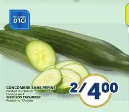 Marché Bonichoix SEEDLESS CUCUMBER offer