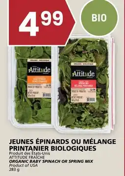 Rachelle-Bery Grocery ATTITUDE FRAÎCHE ORGANIC BABY SPINACH OR SPRING MIX offer