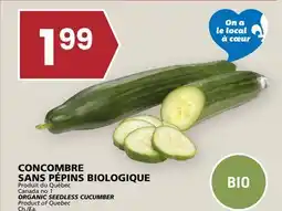 Rachelle-Bery Grocery ORGANIC SEEDLESS CUCUMBER offer