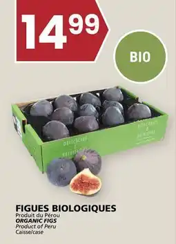 Rachelle-Bery Grocery ORGANIC FIGS offer
