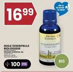 Rachelle-Bery Grocery DIVINE ESSENCE ORGANIC ESSENTIAL OIL offer