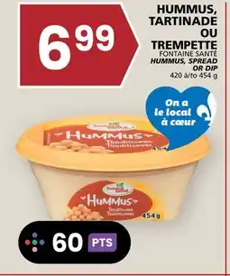 Rachelle-Bery Grocery FONTAINE SANTÉ HUMMUS, SPREAD OR DIP offer