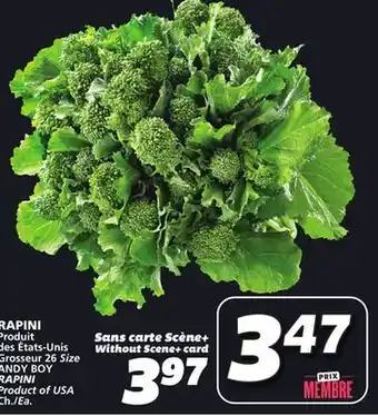 IGA RAPINI offer