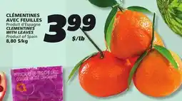 IGA CLEMENTINES WITH LEAVES offer