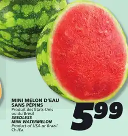 IGA SEEDLESS MINI WATERMELON offer