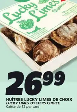 IGA LUCKY LIMES OYSTERS CHOICE offer