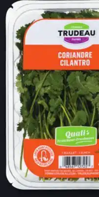 IGA TRUDEAU FRESH POULTRY HERB BLEND, CILANTRO, BASIL, DILL, MINT, CURLY PARSLEY OR ITALIAN PARSLEY offer