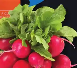 IGA LEAF RADISHES offer