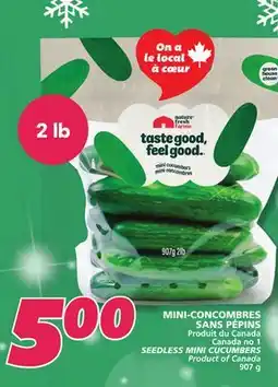 IGA SEEDLESS MINI CUCUMBERS offer