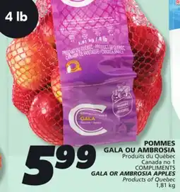 IGA GALA OR AMBROSIA APPLES offer