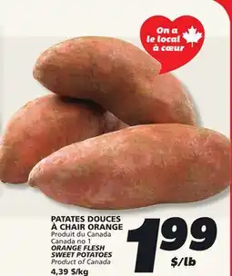 IGA ORANGE FLESH SWEET POTATOES offer