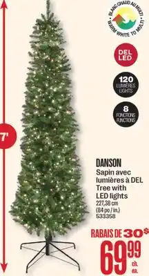 Jean Coutu DANSON Tree with LED lights offer