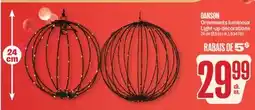 Jean Coutu DANSON Light-up decorations offer