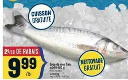 Marché Adonis loup de mer frais | fresh sea bass offer