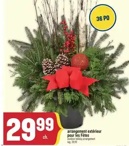 Marché Adonis Arrangement extérieur pour les Fêtes | Outdoor holiday arrangement offer