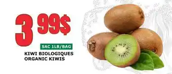 Marches Tau KIWI BIOLOGIQUES offer