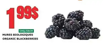 Marches Tau MURES BIOLOGIQUES offer