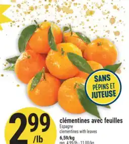 Marché Adonis Clémentines avec feuilles | Clementines with leaves offer