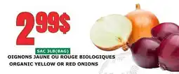 Marches Tau OIGNONS JAUNE OU ROUGE BIOLOGIQUES offer