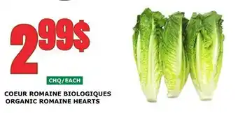 Marches Tau COEUR ROMAINE BIOLOGIQUES offer