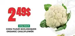 Marches Tau CHOU FLEUR BIOLOGIQUES offer