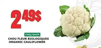 Marches Tau CHOU FLEUR BIOLOGIQUES offer