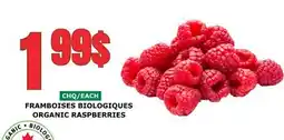 Marches Tau FRAMBOISES BIOLOGIQUES offer