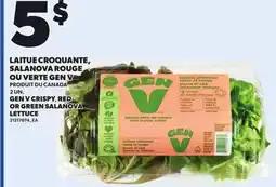 Provigo GEN V CRISPY,, RED OR GREEN SALANOVA LETTUCE, 2 UN offer