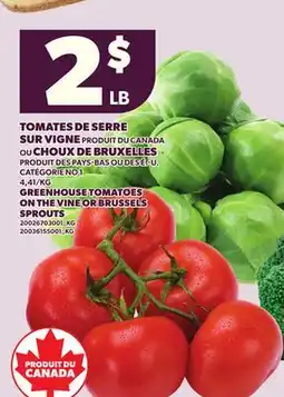 Provigo GREENHOUSE TOMATOES ON THE VINE OR BRUSSELS SPROUTS offer