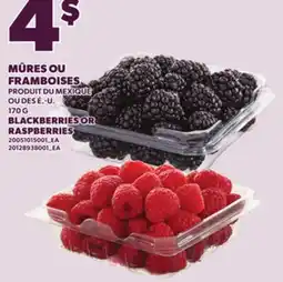 Provigo BLACKBERRIES OR RASPBERRIES offer