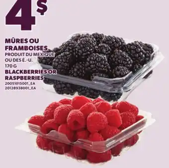 Provigo BLACKBERRIES OR RASPBERRIES offer