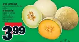 Super C gros cantaloup offer