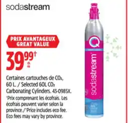 Canadian Tire Selected 60L CO2 Carbonating Cylinders offer