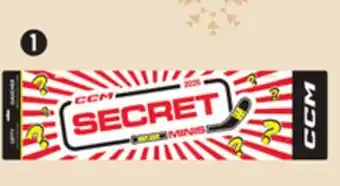 Canadian Tire 2025 Secret Composite Mini Stick. Left or right hand offer