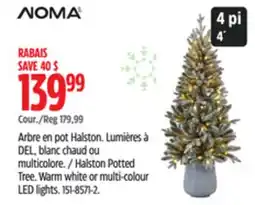 Canadian Tire Halston Potted Tree offer
