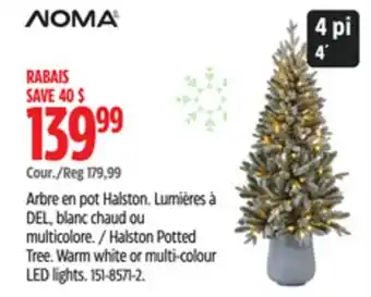 Canadian Tire Halston Potted Tree offer