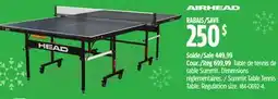 Canadian Tire Summit Table Tennis Table offer