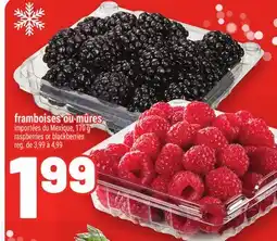 Metro FRAMBOISES OU MÛRES | RASPBERRIES OR BLACKBERRIES offer