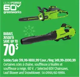 Canadian Tire Selected 60V Chainsaws offer