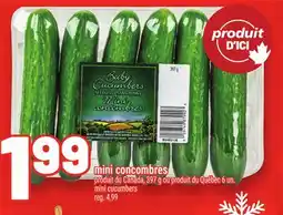 Metro MINI CUCUMBERS | MINI CUCUMBERS offer