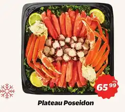 Metro PLATEAU POSEIDON offer